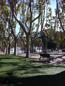 Trees and fountains in Perpignan